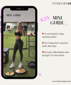 MINI GUIDE- gym workout plan