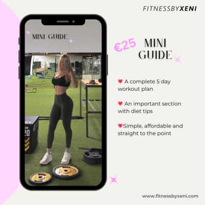MINI GUIDE- gym workout plan